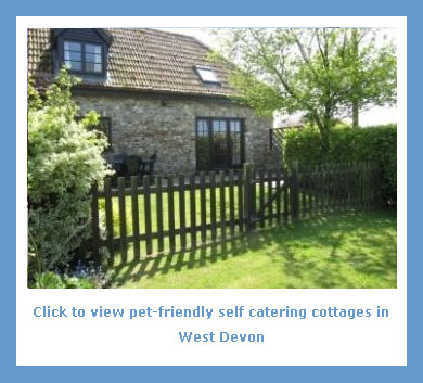 a collection of pet friendly self catering breaks west Devon