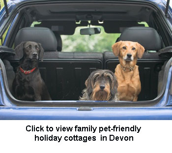 family pet friendly self-catering cottages in Devon