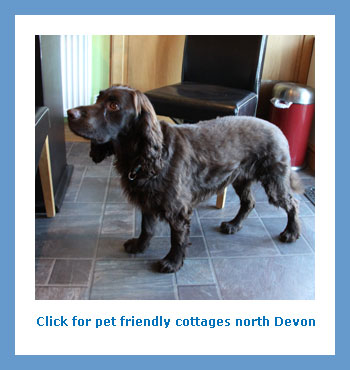 rent pet friendly rural cottages to rent in north Devon for a holiday or weekend break