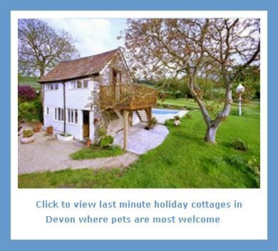 last minute dog friendly holiday cottages