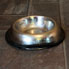 metal dog bowl